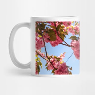 Pink flowers Mug